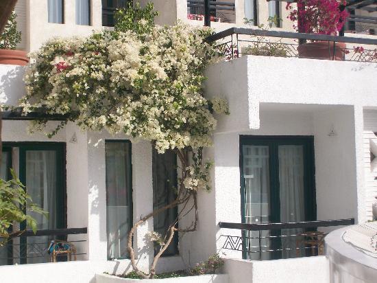Kahramana Hotel Naama Bay Šarm aš-Šajch Exteriér fotografie